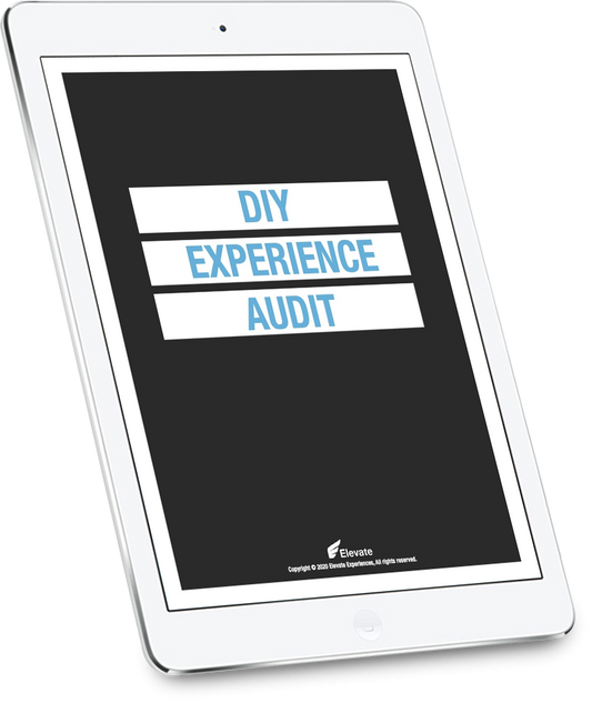 DIY Experience Audit Worksheet (Digital Download)